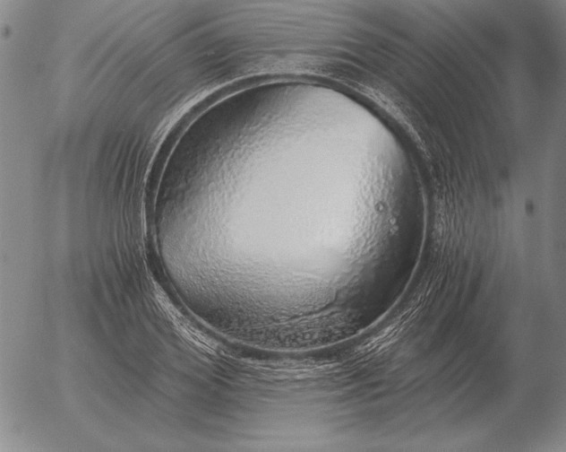 X0000056030980200509021817