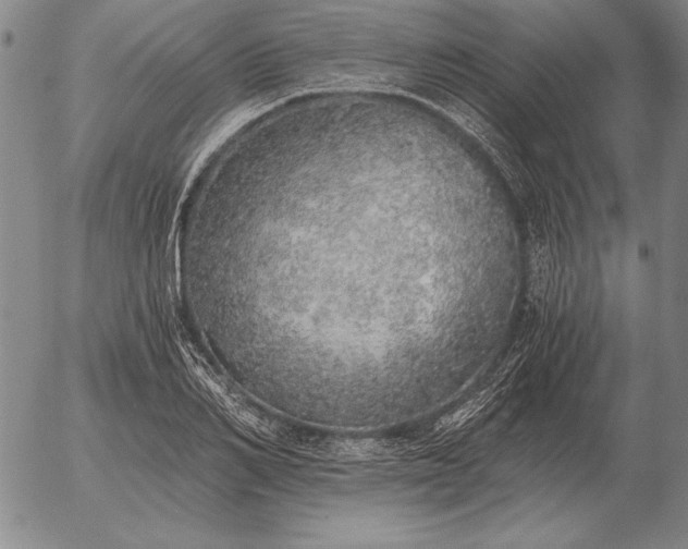 X0000056030982200509021817