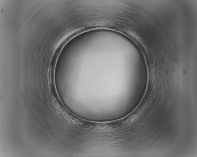 X0000056030983200509021817