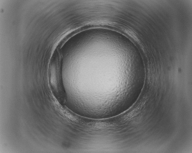 X0000056030984200509021817