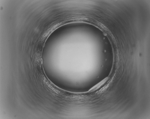 X0000056030985200509021817