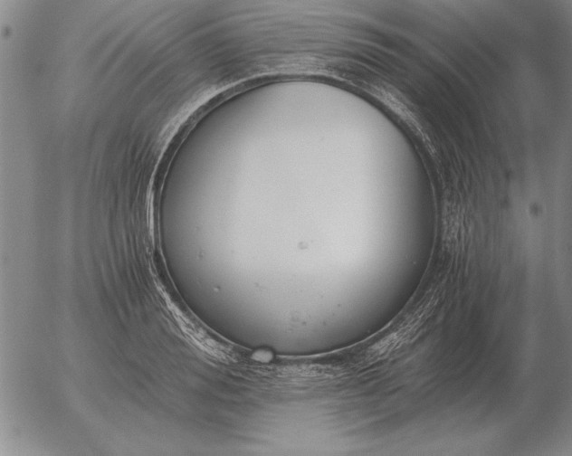 X0000056030988200509021817