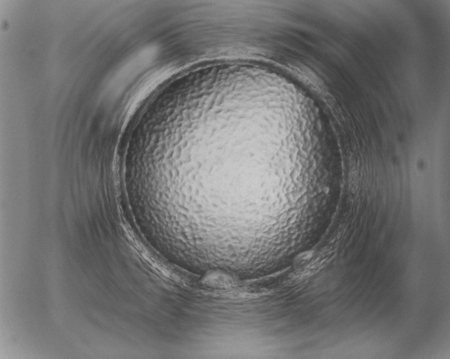 X0000056030990200509021817