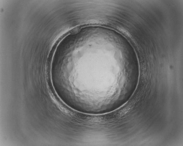 X0000056030991200509021817