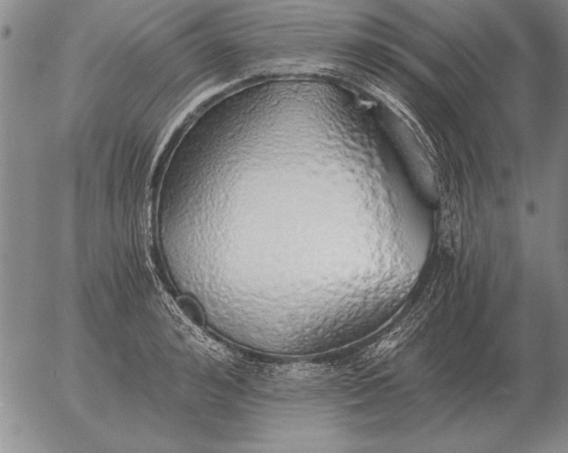 X0000056030992200509021817