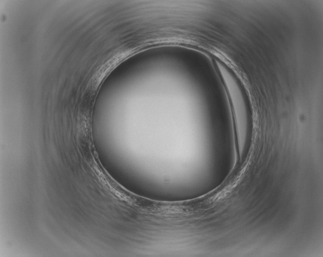 X0000056030993200509021817