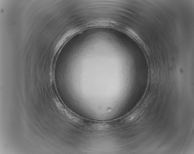 X0000056030994200509021817