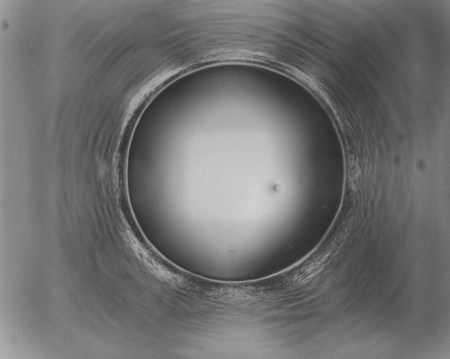 X0000056030995200509021817