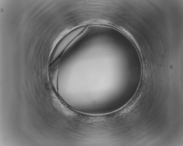 X0000056030997200509021817