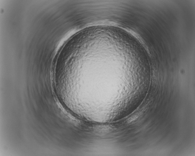 X0000056030998200509021817