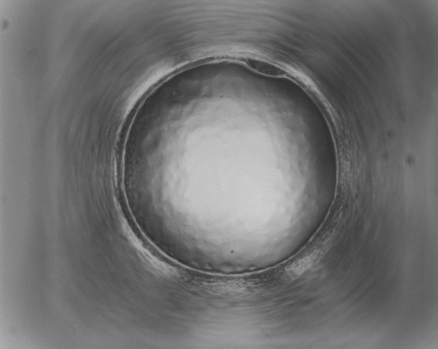 X0000056030999200509021817