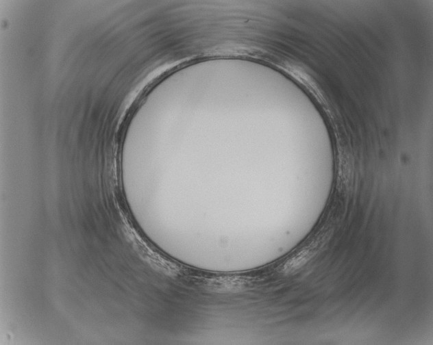 X0000056031000200509021817