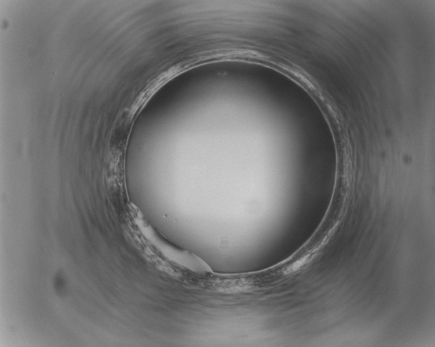 X0000056031001200509021817