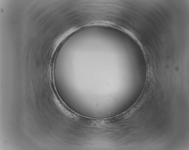 X0000056031003200509021817