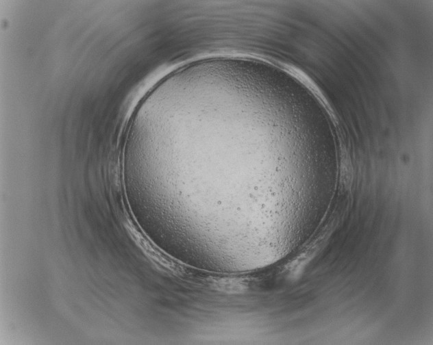 X0000056031004200509021817