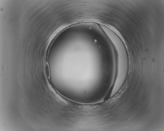 X0000056031005200509021817