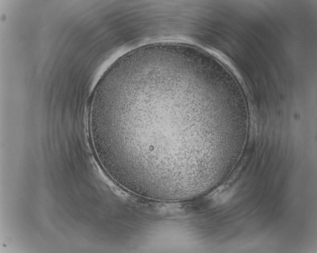 X0000056031006200509021817