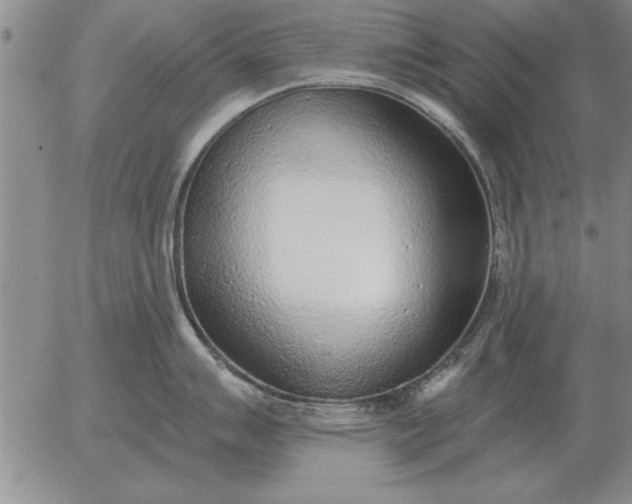 X0000056031007200509021817