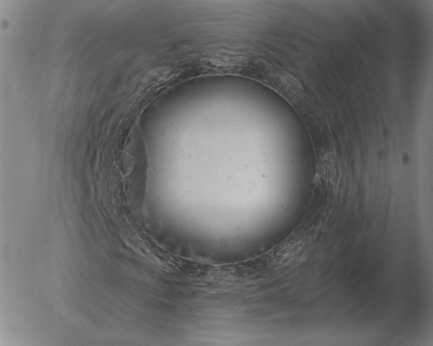 X0000056031009200509021816