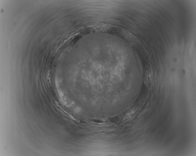 X0000056031010200509021816