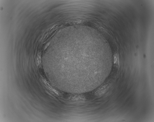 X0000056031011200509021816