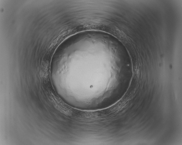 X0000056031012200509021816