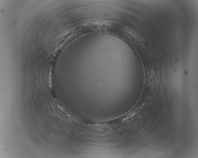 X0000056031013200509021816