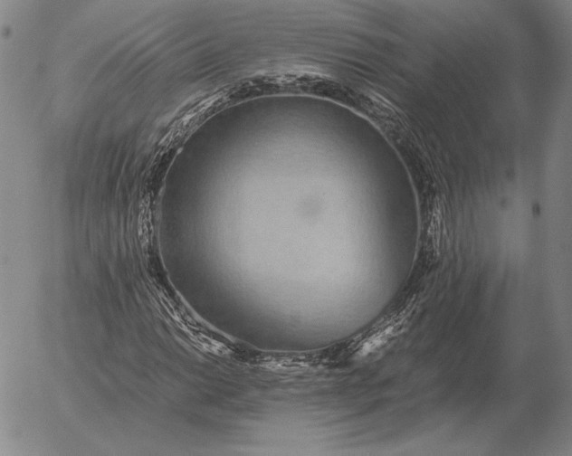 X0000056031014200509021816