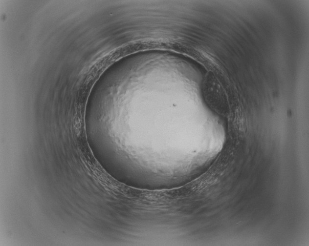 X0000056031015200509021816