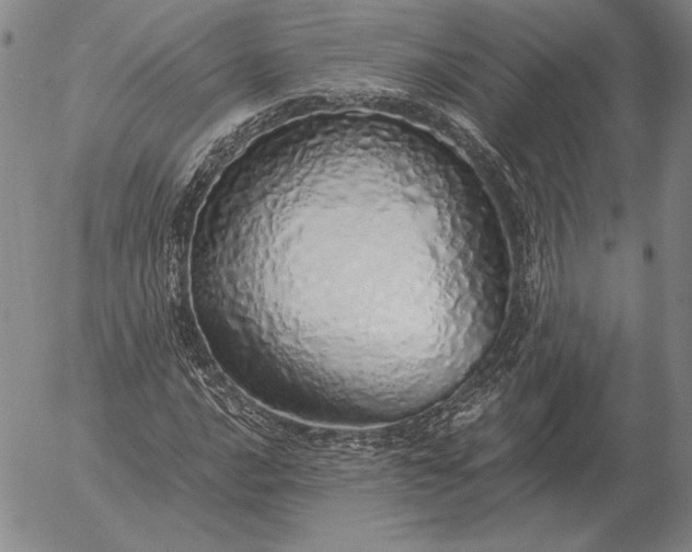 X0000056031016200509021816