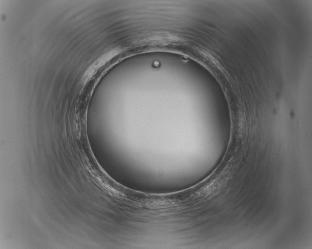 X0000056031018200509021816