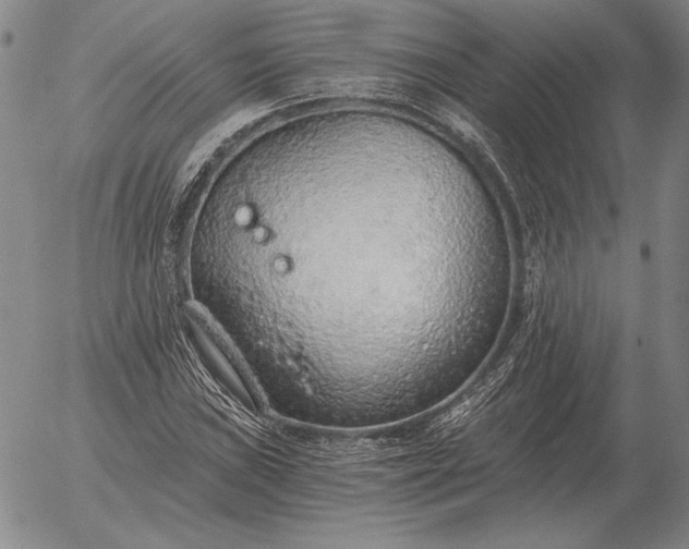 X0000056031019200509021816