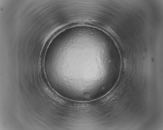 X0000056031020200509021816