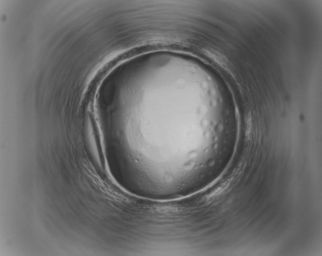 X0000056031021200509021816