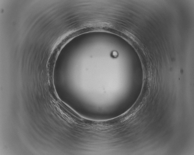 X0000056031022200509021816