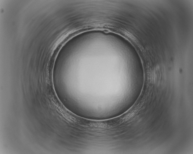 X0000056031023200509021816