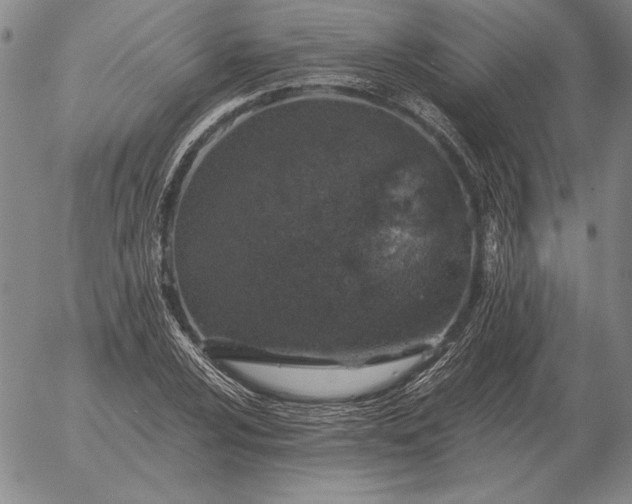 X0000056031024200509021816