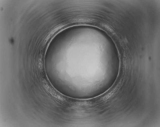 X0000056031025200509021816