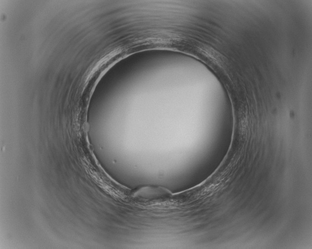 X0000056031026200509021816