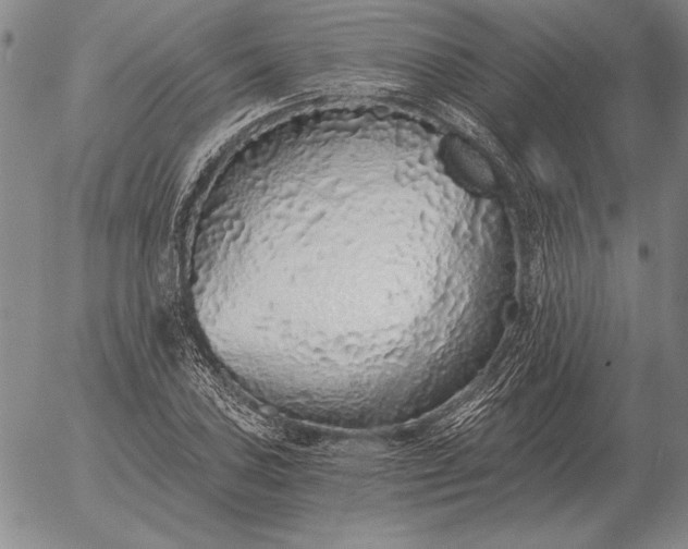 X0000056031027200509021816