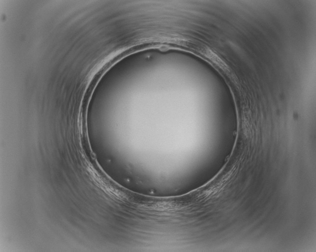 X0000056031028200509021816