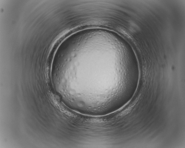 X0000056031029200509021816