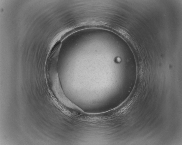 X0000056031030200509021816