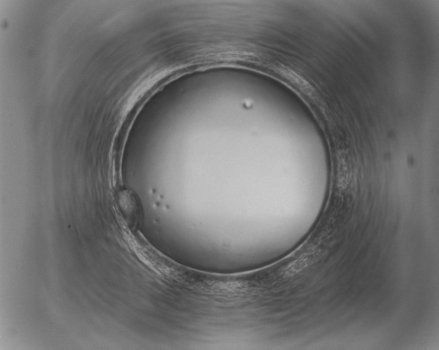 X0000056031031200509021816