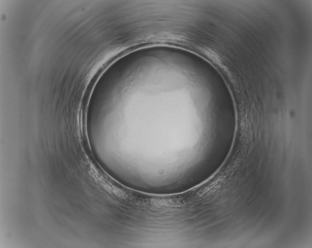 X0000056031032200509021816