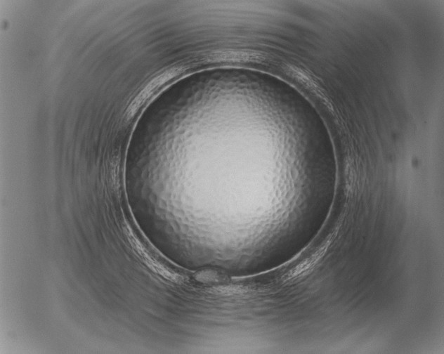 X0000056031033200509021816