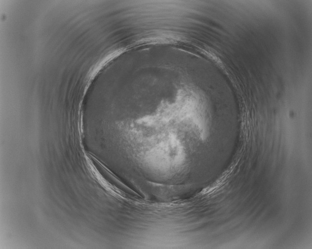 X0000056031034200509021816