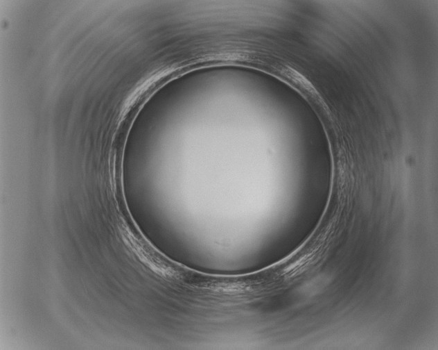 X0000056031035200509021816