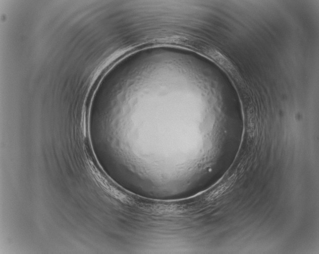 X0000056031036200509021816