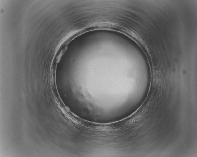 X0000056031037200509021816